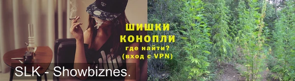 PSILOCYBIN Кинешма