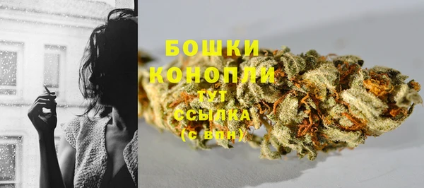 спайс Карпинск